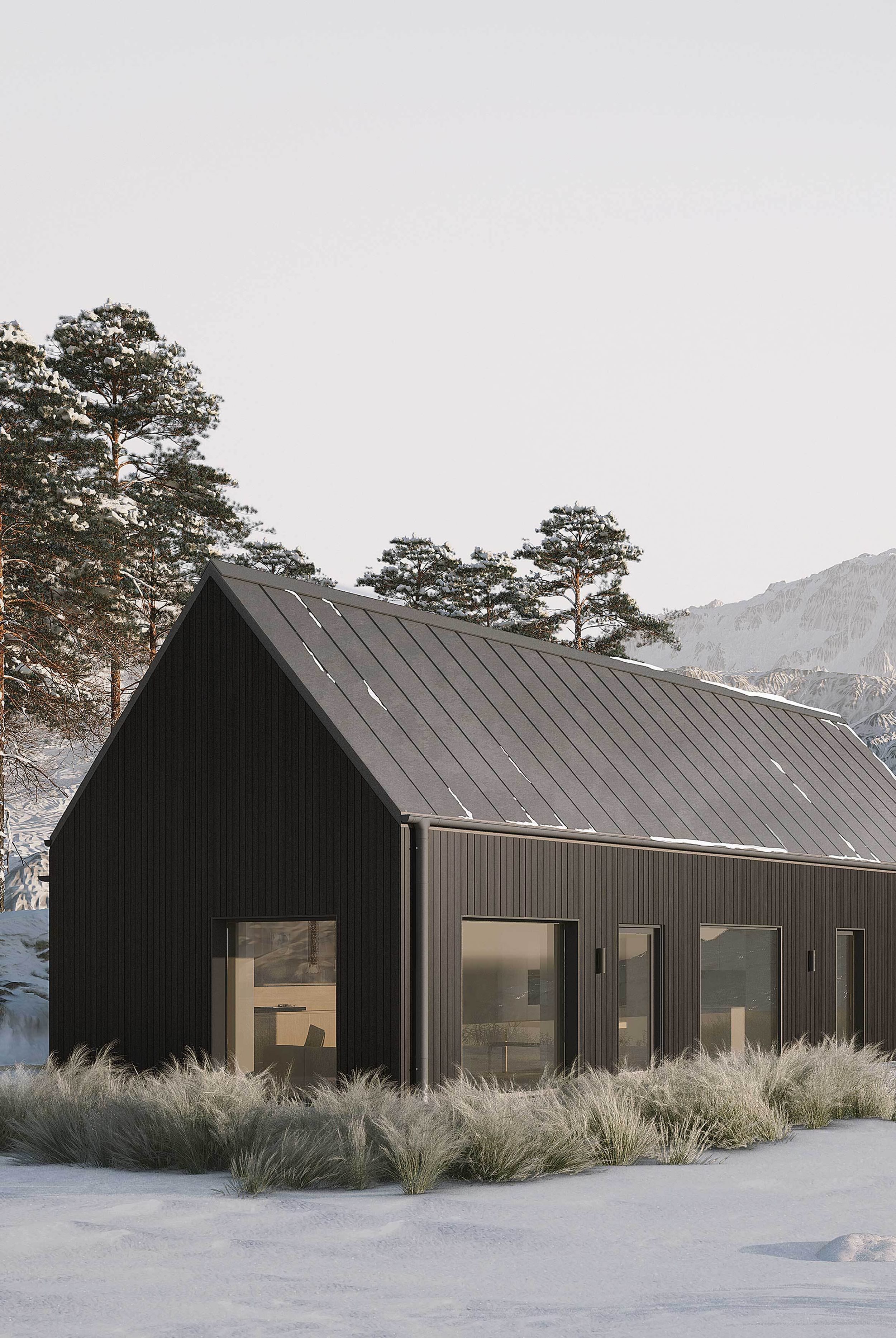 Side exterior of the Coldwells Build Passivhaus, Anderson. A prefabricated bungalow with black cladding and a metal roof.