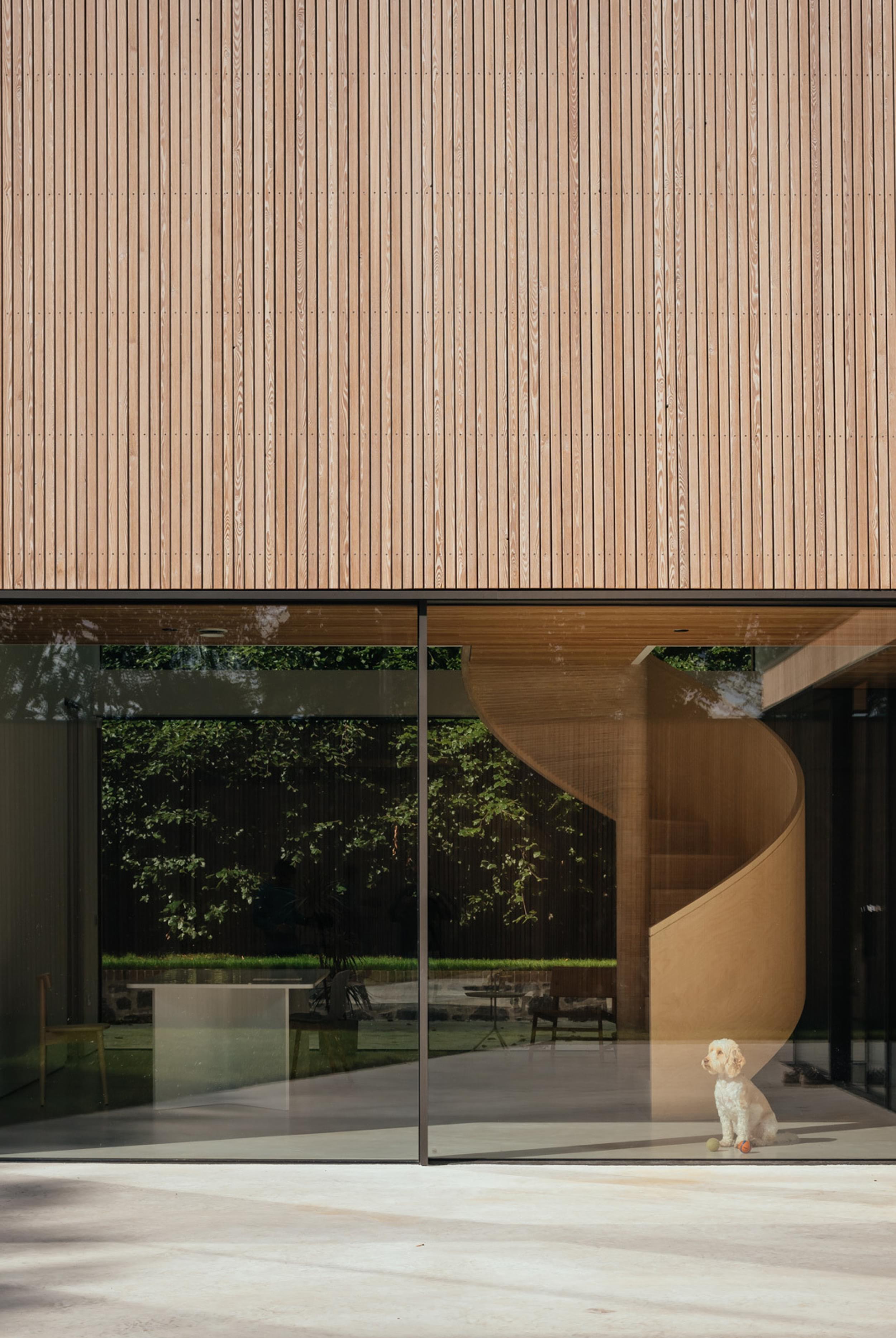 An outside shot looking into a heavily glazed house. Through the glass, a dog can be seen sitting at the bottom of a birch plywood spiral staircase. The home’s exterior materials are made from timber cladding and board marked concrete.